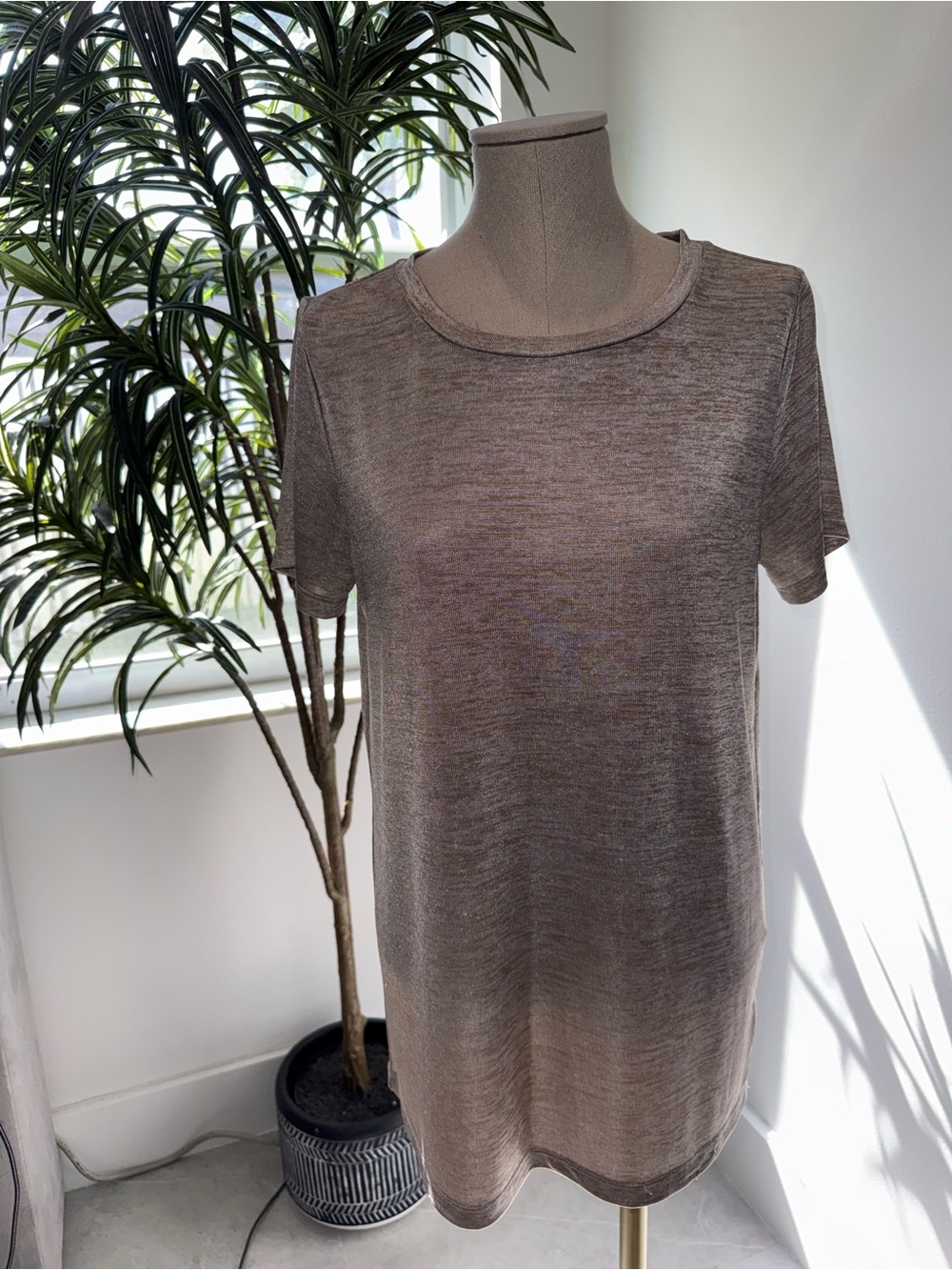 Express Short Sleeve Crewneck Tee - Taupe Brown